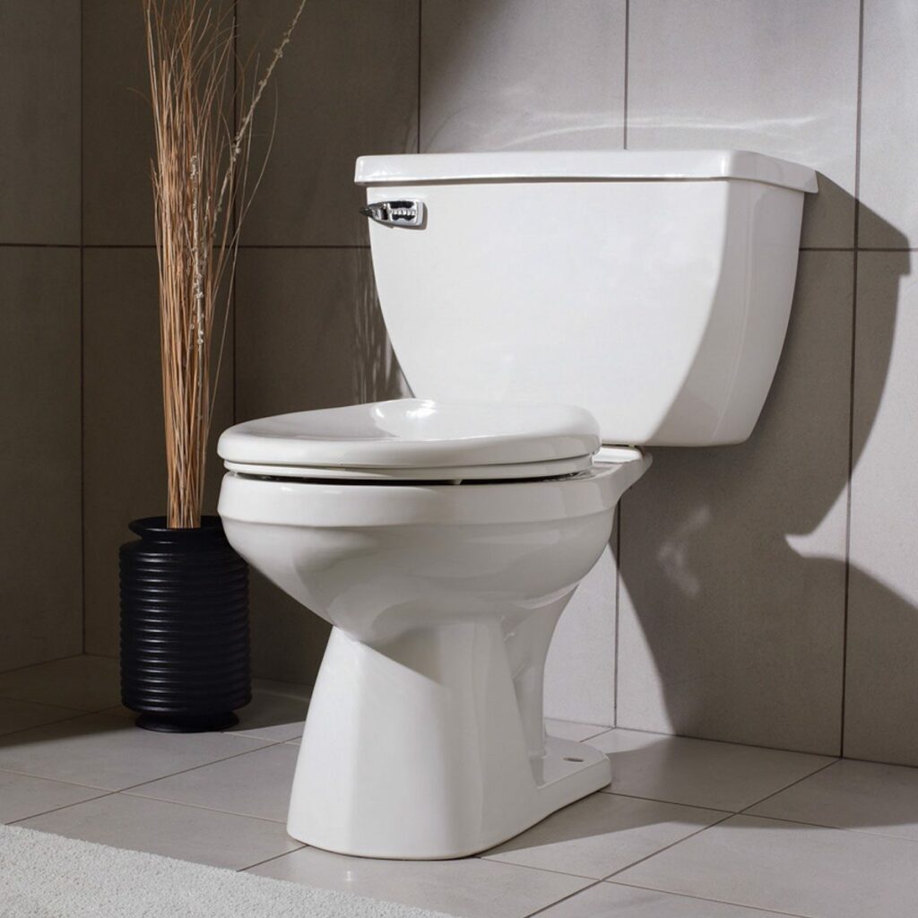 Clogged toilet repair of Honolulu plumbing